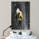 T Rklopfer Wall Decal