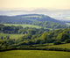 England Gloucestershire Forest Wall Decal