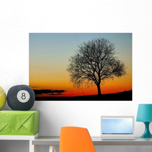 Atbre Solail Sunset Wall Decal