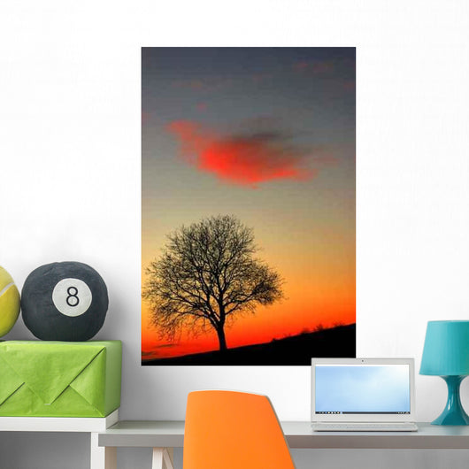 Sunset Tree Wall Decal