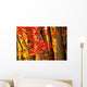 Fall Forest Wall Decal