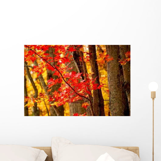 Fall Forest Wall Decal