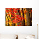 Fall Forest Wall Decal