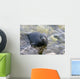 Baikal Seal Wall Decal