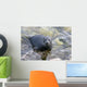 Baikal Seal Wall Decal
