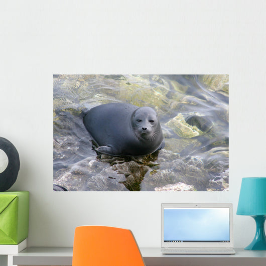 Baikal Seal Wall Decal