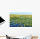Everglades Wall Decal