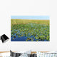 Everglades Wall Decal