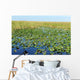 Everglades Wall Decal