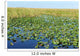 Everglades Wall Decal