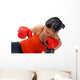 Boxen Fa R Selbstverteidigung Wall Decal