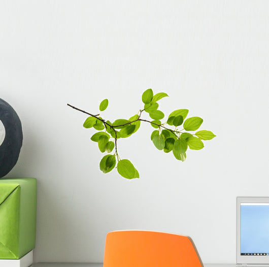 Green Branch Wall Decal