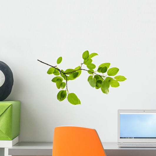 Green Branch Wall Decal