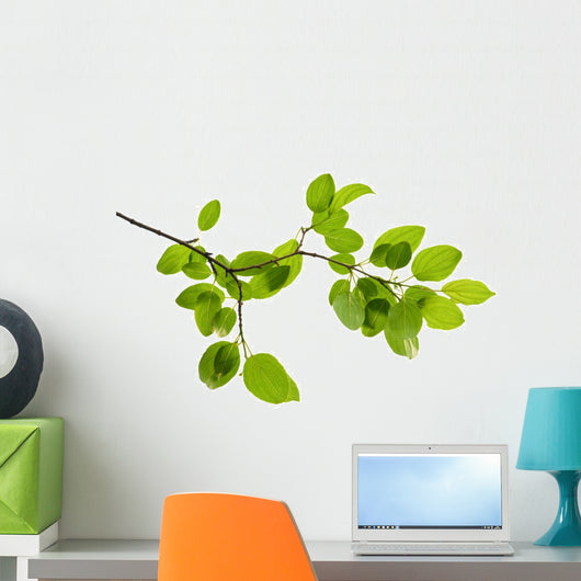 Green Branch Wall Decal