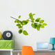 Green Branch Wall Decal