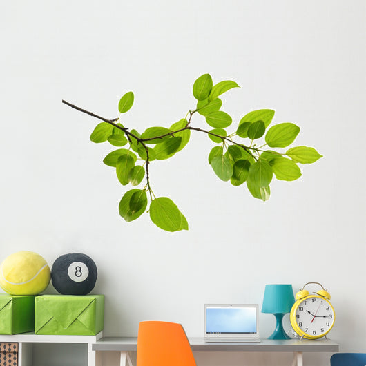 Green Branch Wall Decal
