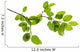 Green Branch Wall Decal