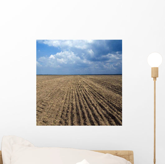Cracked Earth Seamless Wall Decal