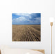Cracked Earth Seamless Wall Decal