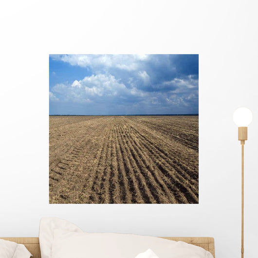 Cracked Earth Seamless Wall Decal