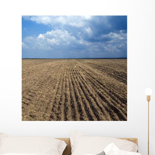 Cracked Earth Seamless Wall Decal