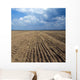 Cracked Earth Seamless Wall Decal