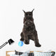 Schnauzer Dog with Ball Wall Decal