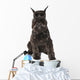 Schnauzer Dog with Ball Wall Decal