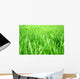 Grass Wall Decal Design 1