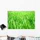 Grass Wall Decal Design 1