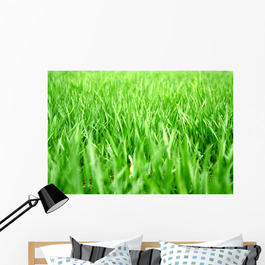 Grass Wall Decal Design 1