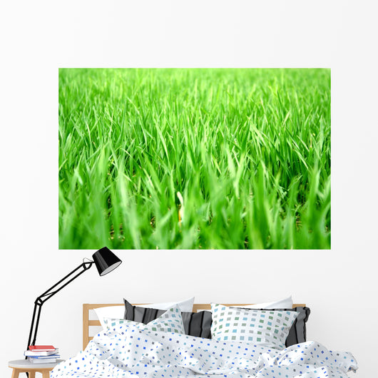 Grass Wall Decal Design 1