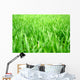 Grass Wall Decal Design 1