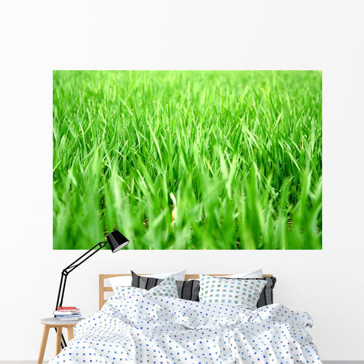 Grass Wall Decal Design 1