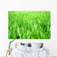 Grass Wall Decal Design 1