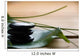 Massage Stones Wall Decal