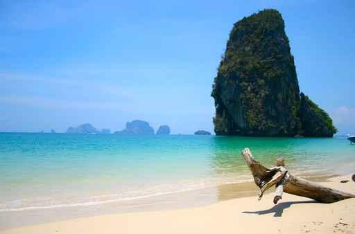 Paradise Wall Decal Design 1