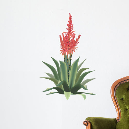 Aloe Vera Plant Flower Wall Decal