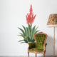Aloe Vera Plant Flower Wall Decal