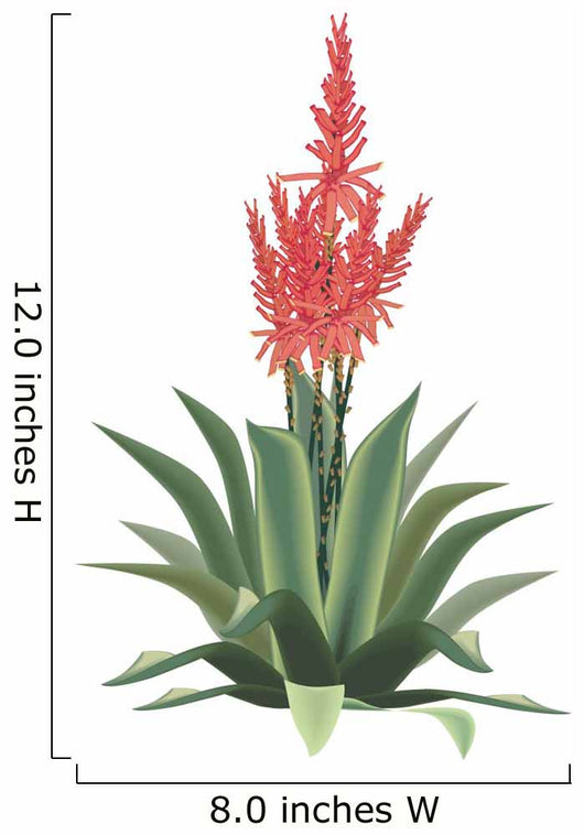 Aloe Vera Plant Flower Wall Decal
