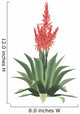 Aloe Vera Plant Flower Wall Decal