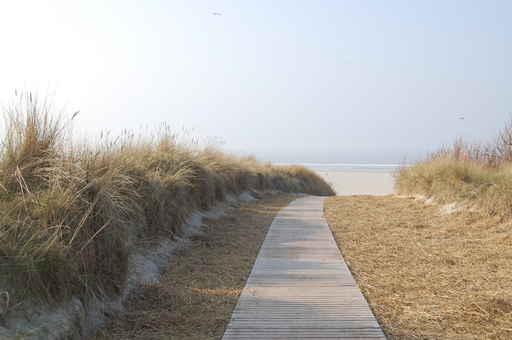 Strand Wall Decal Design 1
