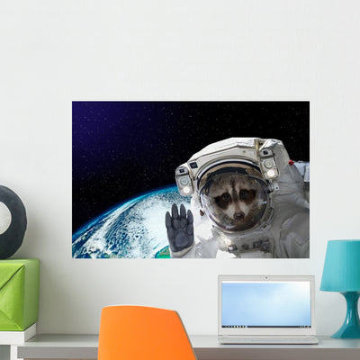 Nasa Space Raccoon Astronaut Wall Decal shown on a wall