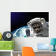 Nasa Space Raccoon Astronaut Wall Decal