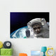 Nasa Space Raccoon Astronaut Wall Decal