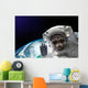 Nasa Space Raccoon Astronaut Wall Decal