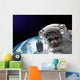 Nasa Space Raccoon Astronaut Wall Decal