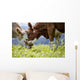 Brown and White Flecked Wall Decal