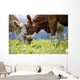 Brown and White Flecked Wall Decal