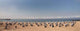From Beach K Hlungsborn Wall Decal